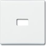 BUSCH-JAEGER Wippe f. Symbol 2120-32 IP44 Allwetter weiss 2120-32 (1731-0-1817)