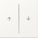 GIRA Wippe 329427 2f Pfeil Sys.55 rws m (329427)