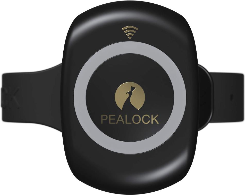 Pealock 2 Fahrrad GPS-Tracker (PT0076)
