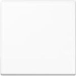 Jung A101WW Wippe f.Taster (A101WW)