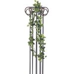 EUROPALMS Pothosgirlande Classic, künstlich, 180cm (82503728)