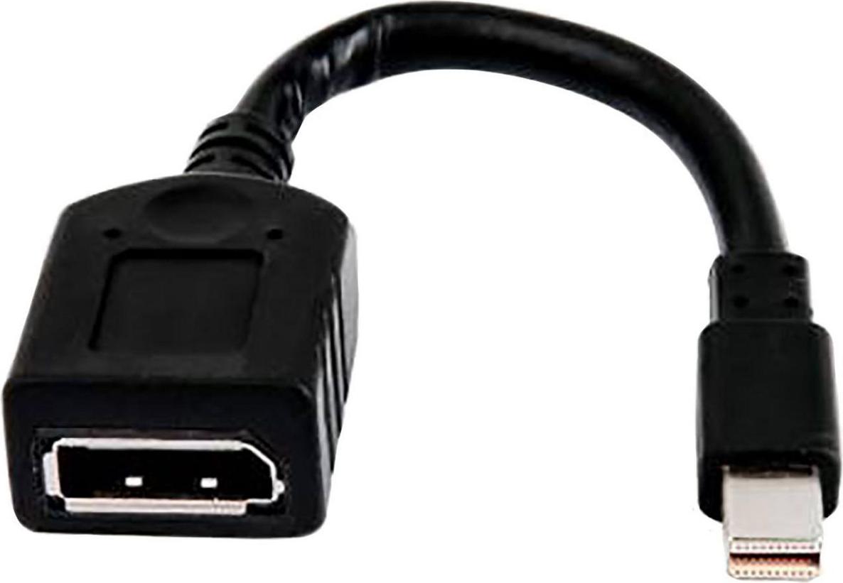 HP Single miniDP-an-DP-Adapterkabel Schwarz