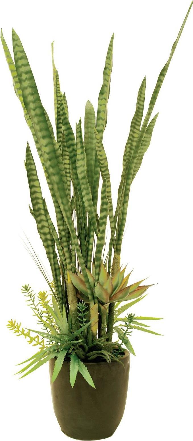 EUROPALMS Sukkulenten-Mix, Kunstpflanze, 190cm (82600035)
