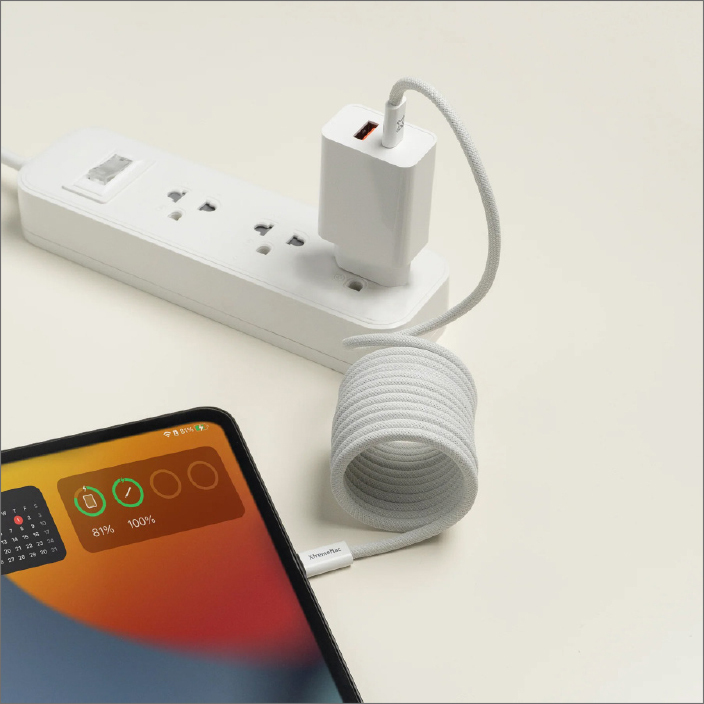 XtremeMac X-Magnet USB-C Kabel 2 m 60W magnetisch Weiß