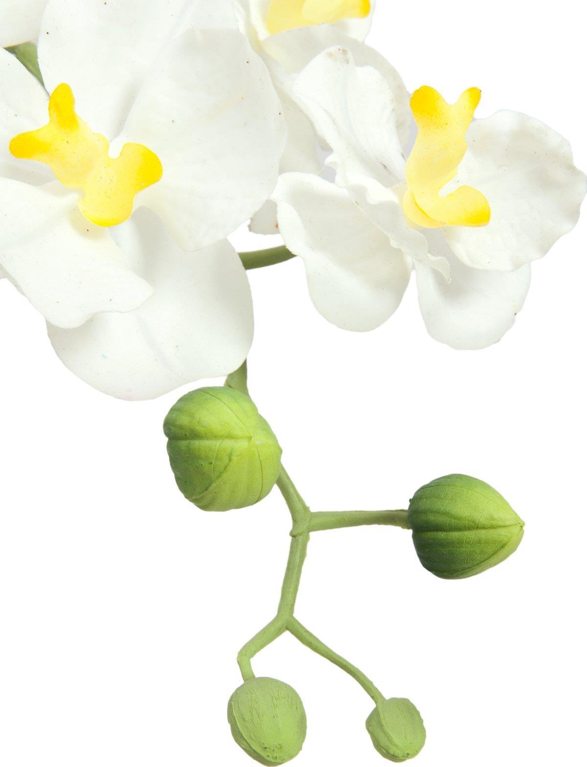 EUROPALMS Orchideen-Arrangement 1, künstlich (82530346)