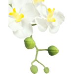 EUROPALMS Orchideen-Arrangement 1, künstlich (82530346)