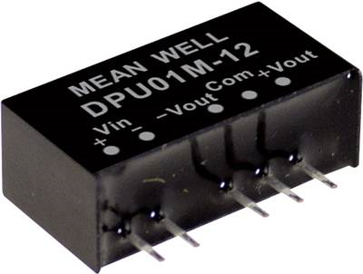 MEAN WELL DPU01L-05 Netzteil & Spannungsumwandler (DPU01L-05)