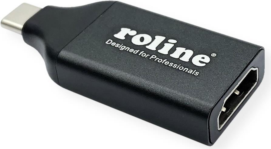ROLINE 12.03.3226 USB-Grafikadapter 3840 x 2160 Pixel Schwarz (12.03.3226)