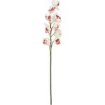 EUROPALMS Cymbidiumzweig, künstlich, weiß-pink, 90cm (82530312)