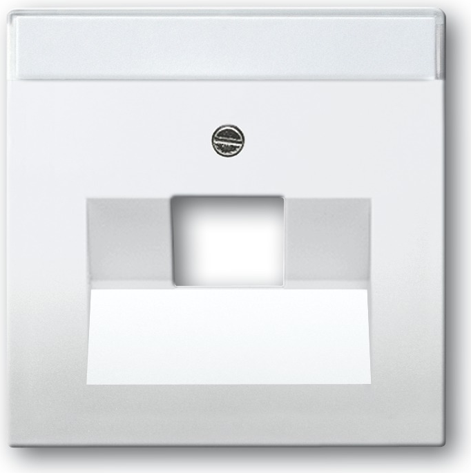 BUSCH-JAEGER Zentralscheibe UAE 1f. 1803-84 davos/studioweiss 1803-84 (1803-84)