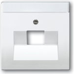 BUSCH-JAEGER Zentralscheibe UAE 1f. 1803-84 davos/studioweiss 1803-84 (1803-84)