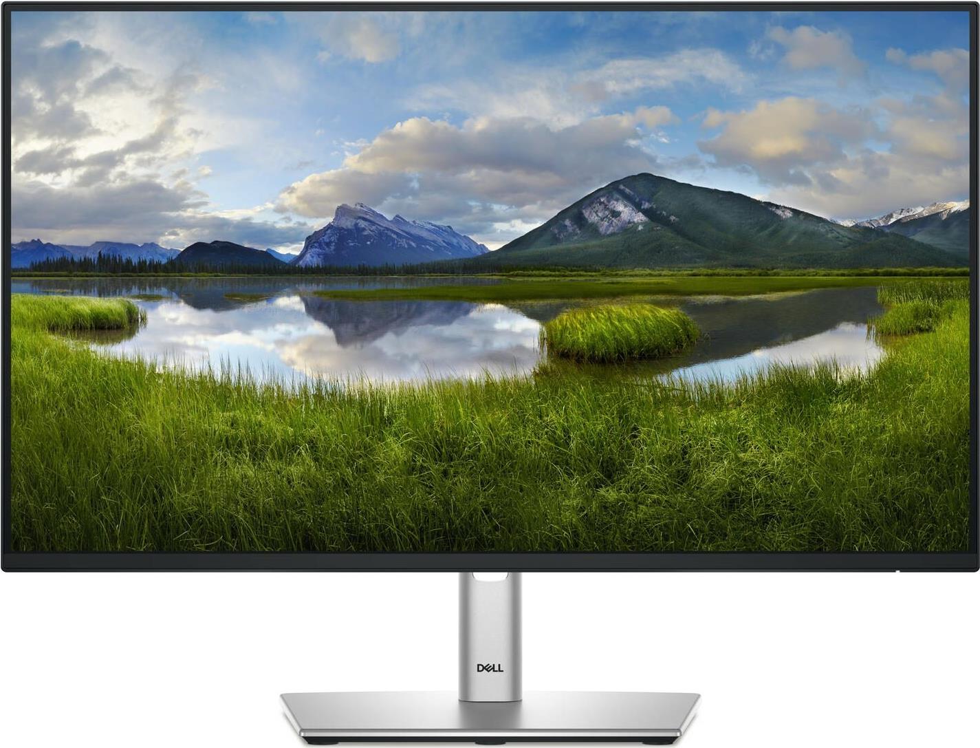 DELL P2425H LED-Monitor 61 cm 24