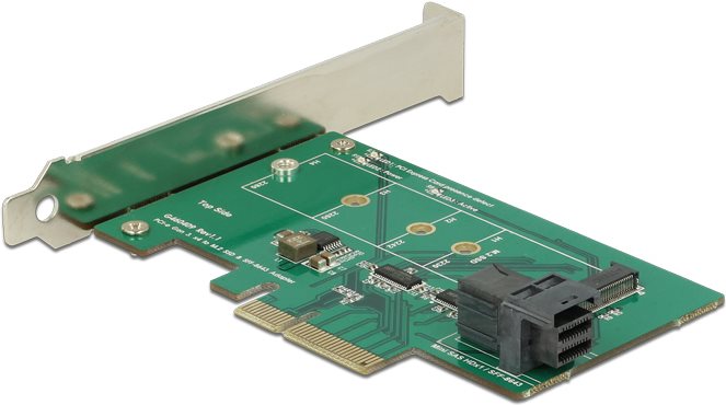 DeLOCK PCI Express Card > 1 x internal NVMe M.2 PCIe / 1 x internal SFF-8643 NVMe (89517)