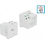 Delock Easy 45 USB-Ausgang (81312)
