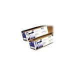 HP Transparentfolien (C3875A)