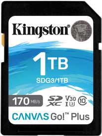 Kingston Canvas Go! Plus (SDG3/1TB)