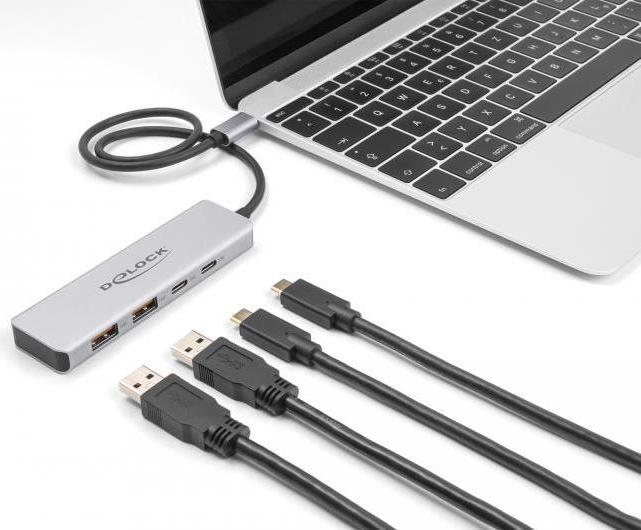 Delock Hub 10 Gbps, with 35cm connection cable (64230)