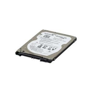 HP 250GB hard disk drive (Encrypted) (CE502-67915)