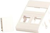 Lanview Wall plate 2 x keystone for (LVN127866)
