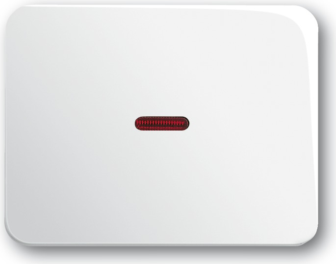 Busch Jaeger 1789-24G Wandplatte/Schalterabdeckung Weiß (1789-24G)