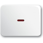 Busch Jaeger 1789-24G Wandplatte/Schalterabdeckung Weiß (1789-24G)