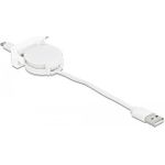 DeLOCK Easy 45 USB-Kabel (81319)