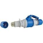 AS Schwabe powerlight CEE Kupplung 61487 CEE Kupplung 3polig 230 V 1 St. (61487)