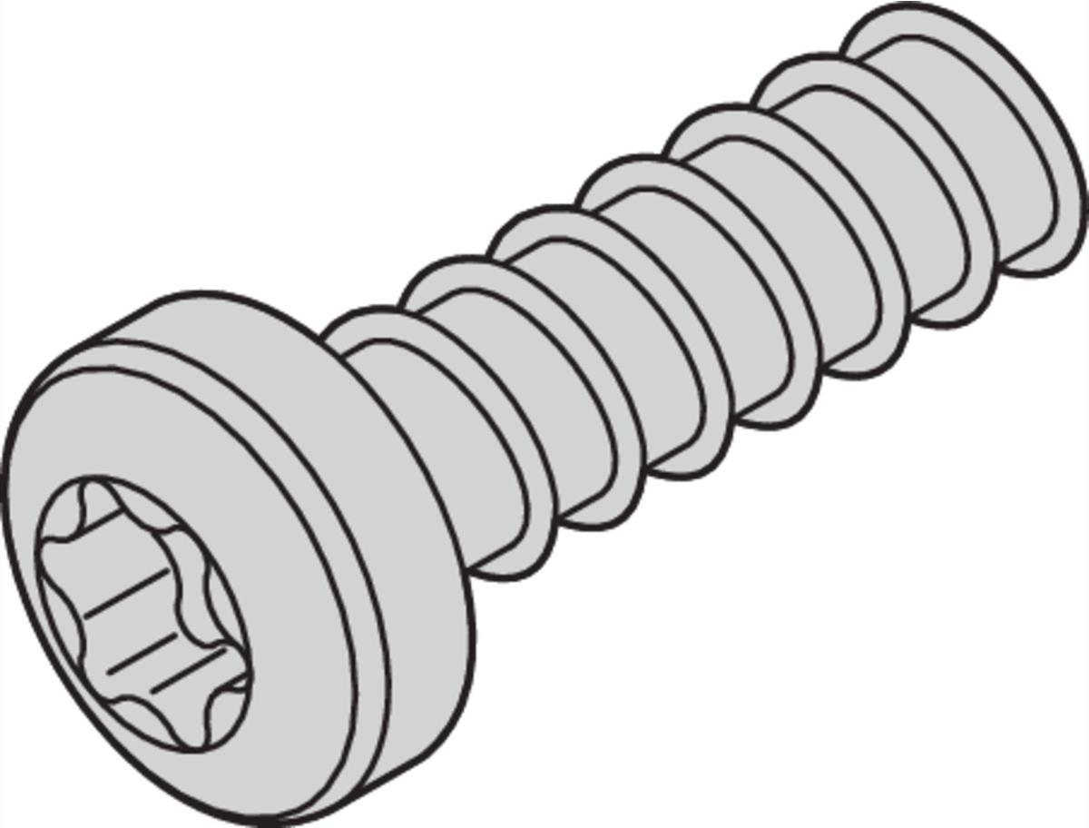 SCHROFF SCREW TORX 2.5X7.3 (100PCS) - Rack-Zubehör (24560157)