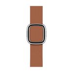 Apple 40mm Modern Buckle (MWRD2ZM/A)