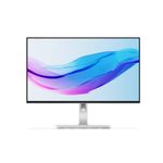 Lenovo L24m-4A Office Monitor (67BDUAC6EU)