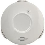 Brennenstuhl Zigbee Wassermelder (1293930)