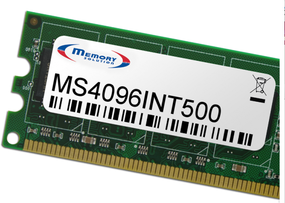 Memory Solution MS4096INT500 (MS4096INT500)