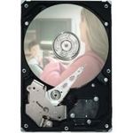Seagate Pipeline HD ST3320311CS (ST3320311CS)