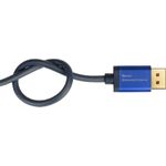 Alcasa 4521-SF010B HDMI-Kabel 1 m HDMI Typ A (Standard) Blau (4521-SF010B)