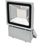 EUROLITE LED IP FL-100 6400K (51914780)