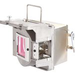 ViewSonic Projektorlampe für Beamer PJD6252L/5350L (RLC-095)