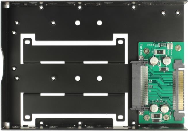 DeLOCK Speichereinschubadapter (63956)