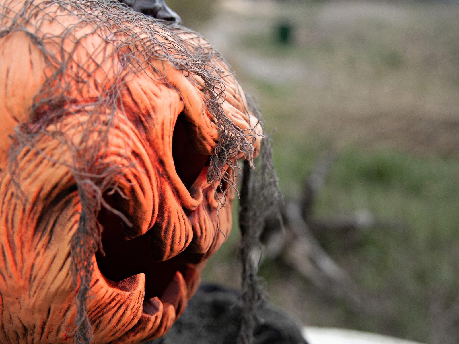 EUROPALMS Halloween Groundbreaker Kürbis-Monster, 50cm (83316099)