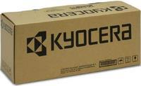 KYOCERA DV-5160 Entwicklereinheit 300000 Seiten (302NT93023)