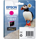 Epson T3243 Magenta (C13T32434010)