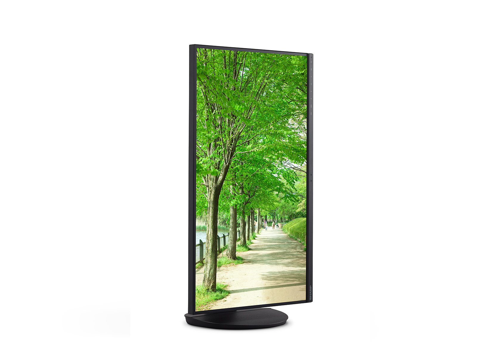 Sharp MultiSync EA272U 27" 4K IPS LED-Monitor Schwarz