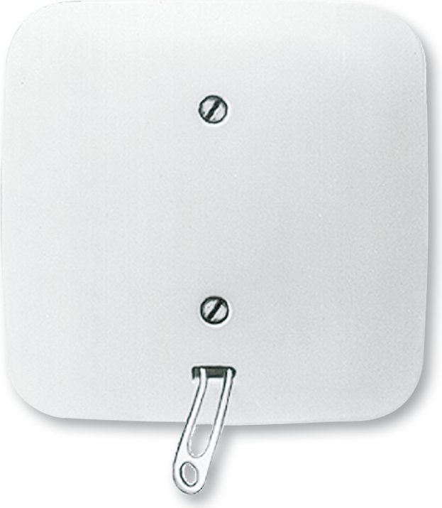 Busch Jaeger 2CKA001315A0027 Elektroschalter Pull chain switch Weiß (2CKA001315A0027)