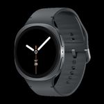 Samsung L330 GALAXY WATCH8 44MM BT GRAPHITE (SM-L330NDAAEUB) (B-Ware)
