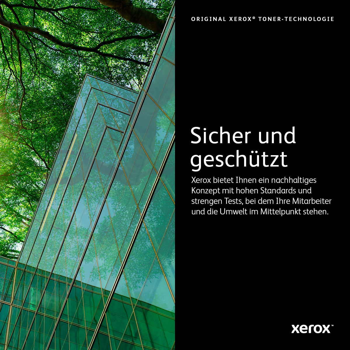 Xerox 106R03737 Tonerpatrone Schwarz Original High Capacity 23.600 Seiten