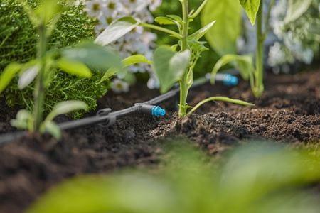 Gardena 13317-20 Bewässerungstropfer 2 l/h Schwarz Inline-Montage (13317-20)