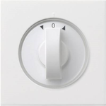 GIRA Abdeckung Jalousie-Schalter Flächenschalter Reinweiß 0666112 (0666112)