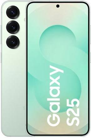 Samsung Galaxy S25 5G Smartphone (SM-S931BLGDEUB)