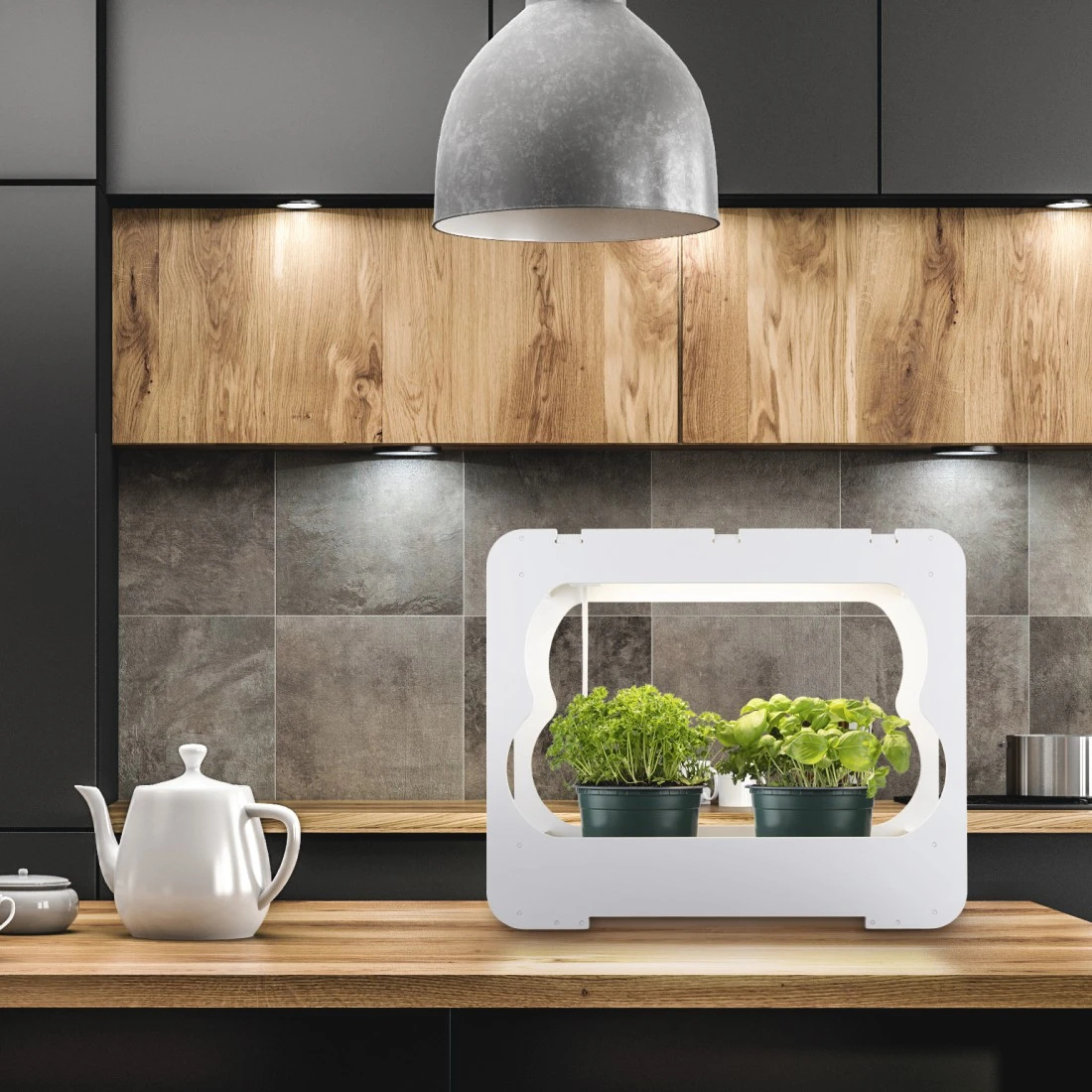 XAVAX Gewächsstation mit LED-Pflanzenlampe 14 W 4000 K Weiß