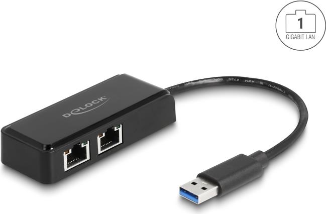 Delock USB Typ-A Adapter zu 2 x Gigabit LAN (64194)