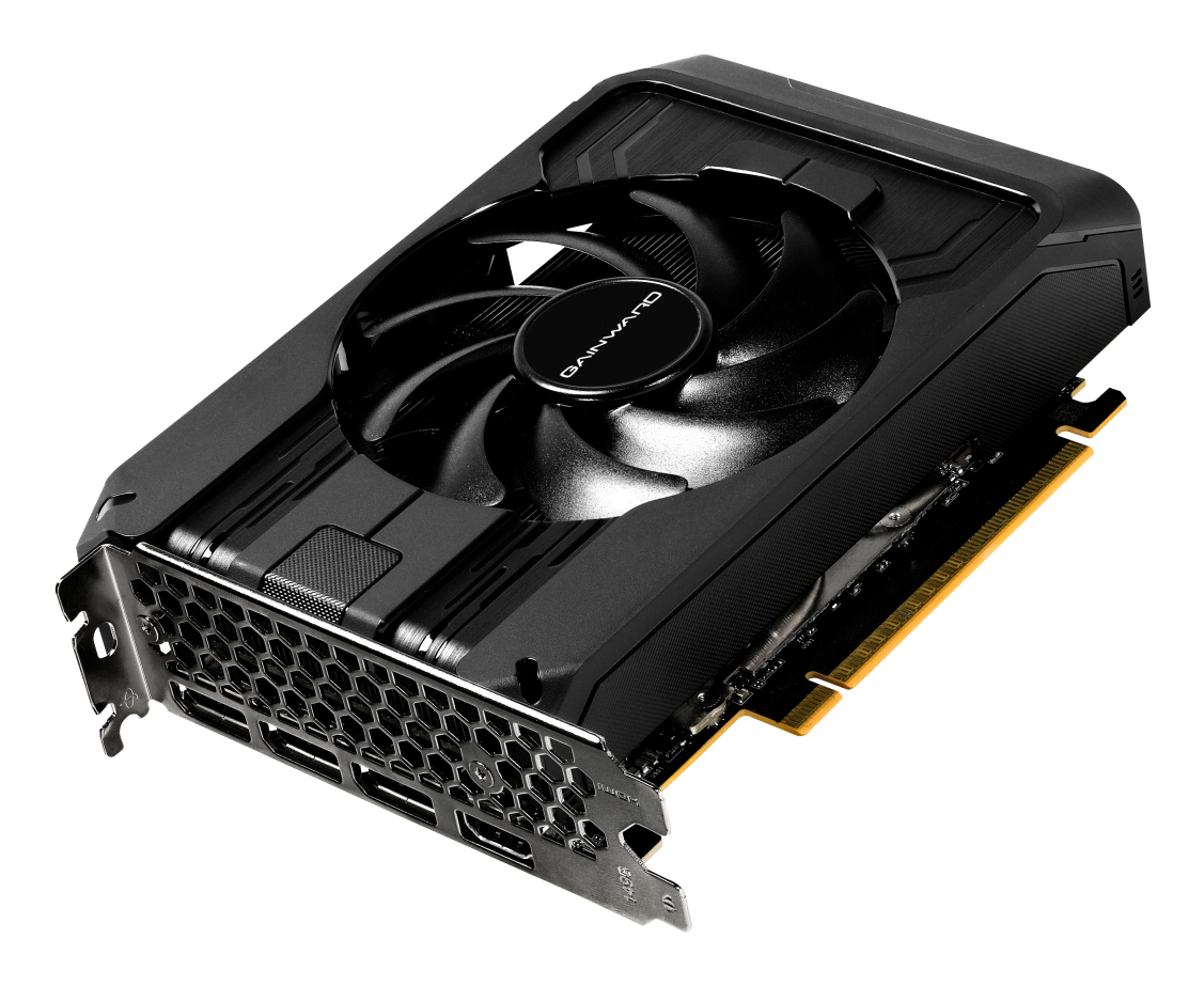 Gainward Pegasus GeForce RTX 5050 8 GB GDDR6 Schwarz
